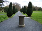 Emo Court (3)
