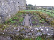 Fenagh Churches (2)