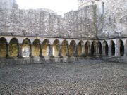 Askeaton Franciscan Friary (3)