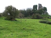 Carrigogunnel Castle
