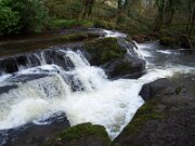 Clare Glens