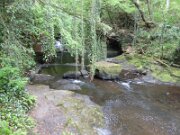 Clare Glens (10)
