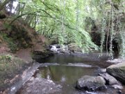 Clare Glens (11)