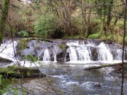 Clare Glens (2)