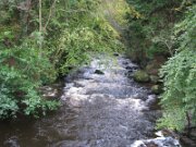 Clare Glens (3)
