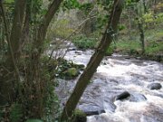 Clare Glens (5)