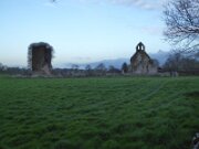Abbeyshrule Abbey (3)