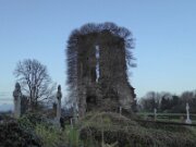 Abbeyshrule Abbey (5)