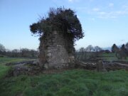 Abbeyshrule Abbey (6)