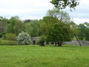Bective Bridge and Abbey
