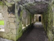 Bective Bridge and Abbey (5)