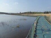 Ballybay Wetlands Centre (2)