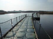 Ballybay Wetlands Centre (3)
