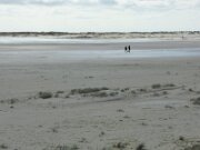 Amrum (16)
