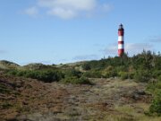 Amrum (3)