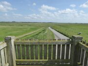 Aussichtsturm Kranz (02)