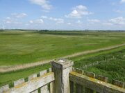 Aussichtsturm Kranz (03)