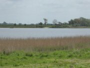 Badestelle Hülltoft Tief (03)