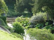 Birr Castle Demesne and Science Centre (5)