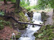Birr Castle Demesne and Science Centre (6)