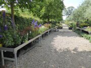 Altenkrempe - Alte Gutsgärtnerei Sierhagen (3)