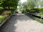 Altenkrempe - Alte Gutsgärtnerei Sierhagen (4)