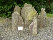 Arboretum Ellerhoop (15)