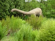 Arboretum Ellerhoop (16)