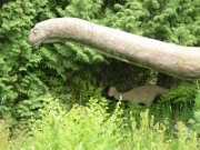 Arboretum Ellerhoop (17)