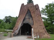 Arboretum Ellerhoop (19)