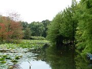 Arboretum Ellerhoop (6)