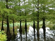 Arboretum Ellerhoop (7)