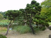 Arboretum Ellerhoop (8)