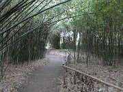 Arboretum Ellerhoop (9)