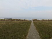 Brasilien og Kalifornien (3)