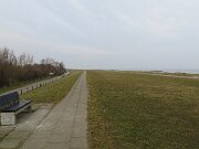 Brasilien og Kalifornien (4)