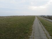 Brasilien og Kalifornien (5)