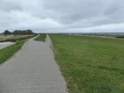 Brasilien og Kalifornien (7)