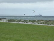 Brasilien og Kalifornien (8)