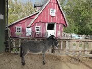 Esel- und Landspielhof Nessendorf (01)