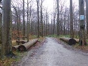 Arboleum Julianenruh