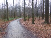 Arboleum Julianenruh (2)