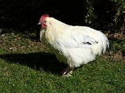 Angeln - Barfusspark Schwackendorf (3)