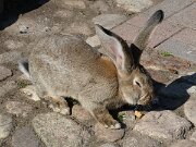 Angeln - Barfusspark Schwackendorf (4)