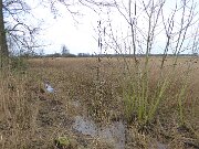 Bergenhusen - Info om tagrør (2)