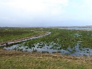 Bergenhusen - Udsigtstårn (3)