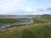 Bergenhusen - Udsigtstårn (4)