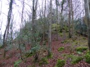 Dooney Rock Forest Park (2)