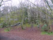 Dooney Rock Forest Park (3)