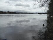 Dooney Rock Forest Park (5)